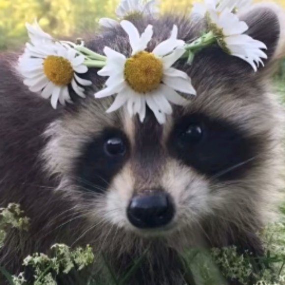 Vintage/Handcrafted/Train Share Show Official Moderator! - Picture 2 of 16